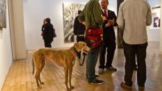 Dogs At The Opera 2025 Online Video